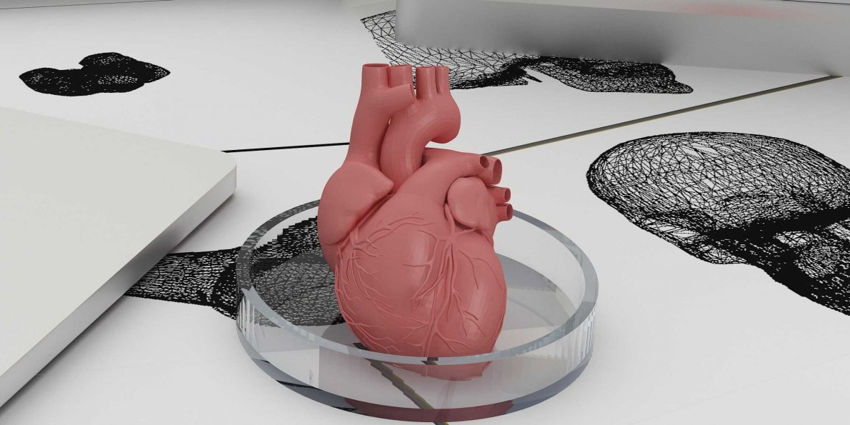 bioengineer-reveals-the-biggest-challenge-to-3d-printing-organs